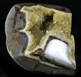 Crystal Filled Septarian Geode - Utah #33093-3